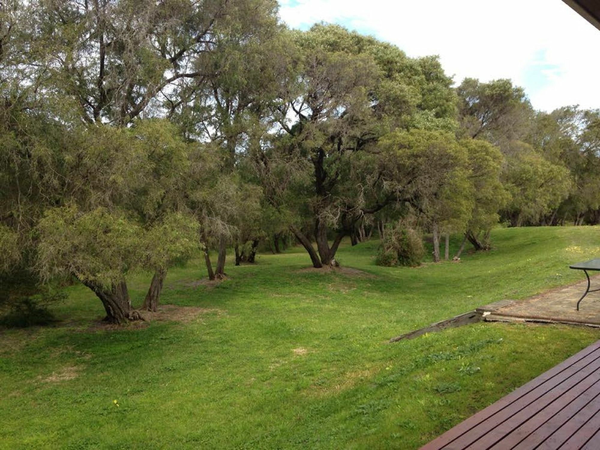 Emu Beach Chalets Albany Exteriör bild